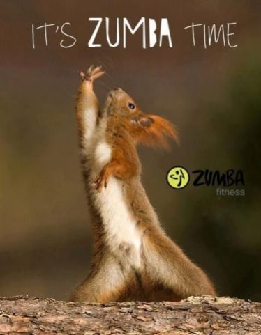 This is how we do Zumba...